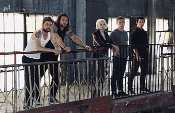 Animal Kingdom Ideas, TNT series, Intriguing TV show, Fanbase HD wallpaper