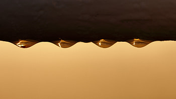 Water, Macro, Surface, Drop HD wallpaper