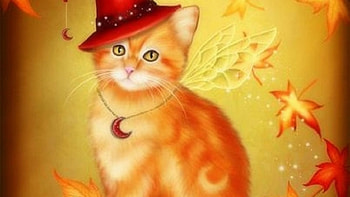 Halloween kitty, cats, Halloween, kitty, animals HD wallpaper