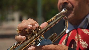 Man playing the trumpet, stock video, Musical performance, Live concert HD wallpaper