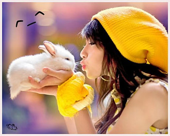 cute, sweet, animals, nice HD wallpaper