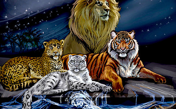 WILD BEAUTIES, tiger, art, eyes, snow leopard, lion, mane, predators, waves, leopard, painting, moon, animals, king of beasts, sky, water HD wallpaper