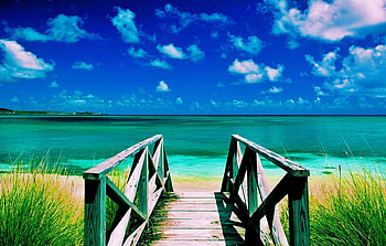 Walkway Beach, Antigua, blue, white, sand, path, beautiful, grass, beach, summer, Caribbean sea, green, yellow, sky, ocean HD wallpaper