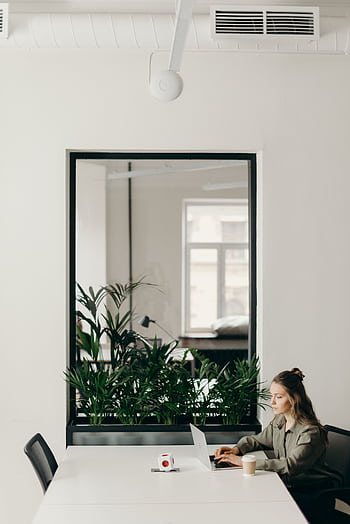 A young woman working on a laptop in a minimalistic, modern office setting with plants and a cup of coffee. HD phone wallpaper