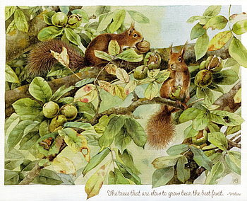 animal, art, marjolein bastin, cute, veverita, tree, painting, green, squirrel HD wallpaper