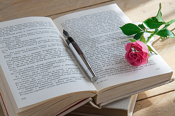 rose, pink, book, abstract HD wallpaper