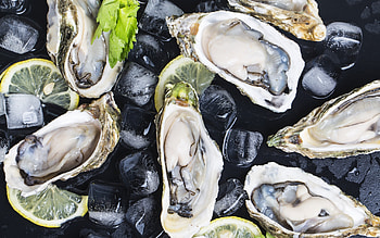 Oyster delicacy, Seafood , Lemon ice twist, Gourmet dishes HD wallpaper