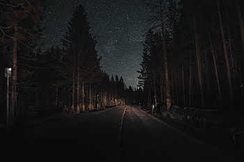 Nature, Night, Road, Turn, Forest, Starry Sky HD wallpaper