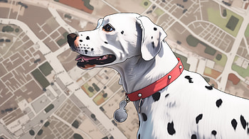Charming Dalmatian - Perfect Background, Animal, dalmatian, dog HD wallpaper