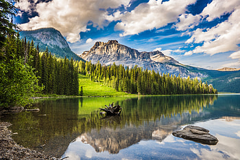 Nature, Mountains, Lake, Forest, Snag HD wallpaper