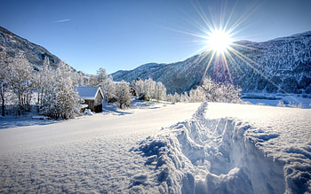 Bright Winter Sunlight, Winter, Sun, Nature, Snow HD wallpaper