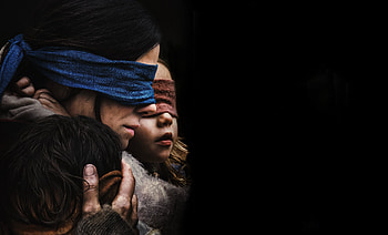 Bird Box 2018, bird-box, movies, 2018-movies, netflix HD wallpaper