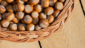 Hazelnut basket, Wood , graphy, Natural beauty HD wallpaper