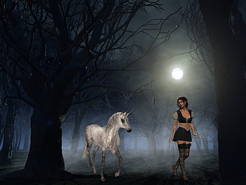 A Step In The Dark, nature, horses, fantasy, animals HD wallpaper