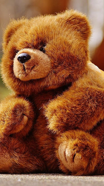 Cute Teddy, Big, Brown, Teddy HD phone wallpaper