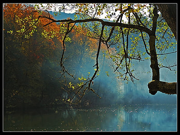 last autumn, autumn, last, lake, tree HD wallpaper