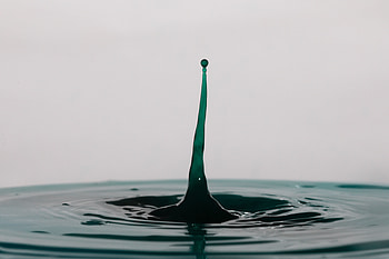 Water, Macro, Splash, Liquid, Drop HD wallpaper