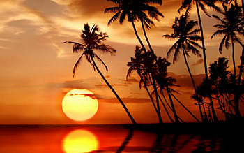 Paradise sunset, Calm waters, Mesmerizing colors, Serene atmosphere HD wallpaper