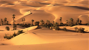 Beautiful desert sceneries, Serene landscapes, Desert , Tranquil desolation HD wallpaper