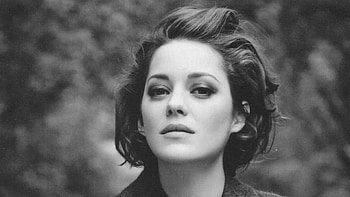Top Marion Cotillard, Backgrounds, Filmography, Acting career HD wallpaper