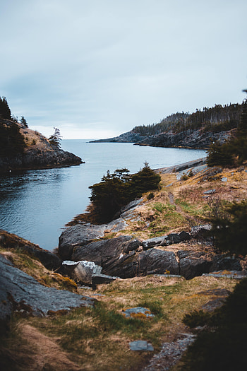 Nature, Water, Trees, Stones, Bush, Rocks HD phone wallpaper