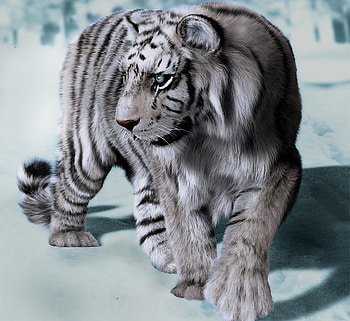 White Tiger, white, abstract, tiger, cg, snow HD wallpaper