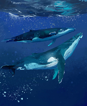 Water, Art, Sea, Whales, Under Water, Underwater HD phone wallpaper
