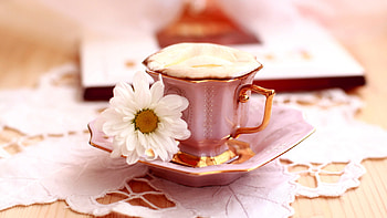 Pink teacup and, Saucer food coffee, Flowers cup HD wallpaper