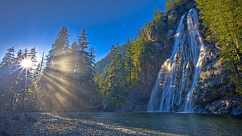 Waterfall, Forest landscape, Daytime, Spruce trees HD wallpaper