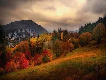 Autumn Colours, autumn, colours, nature, mountains HD wallpaper
