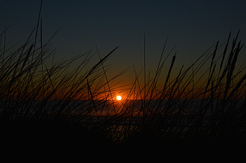 Nature, Sunset, Grass, Sun, Dark HD wallpaper