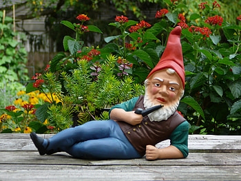 Garden gnome, Gnome HD wallpaper