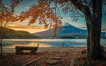 Mount Fuji in Autumn, Japan, tree, lake, bench, autumn, mount HD wallpaper