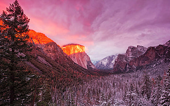 Pink Skies, Yosemite NP, california, valley, colors, clouds, landscape, trees, sky, mountains, usa HD wallpaper