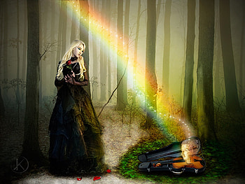 Rainbow music, lasy, music, forest, Rainbow HD wallpaper