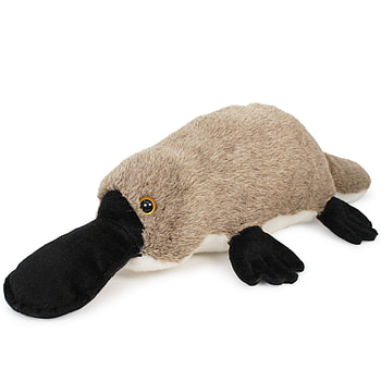 Platypus, Large stuffed animal, Tiger Tale Toys, Playful companion HD phone wallpaper