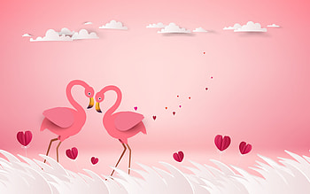 Flamingos, card, heart, paper, pasari, white, flamingo, bird, valentine, day, pink, fantasy, couple HD wallpaper