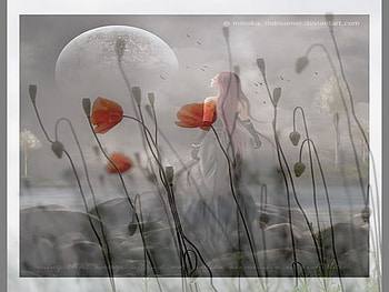 dream, lady, moon, lonely, poppy HD wallpaper