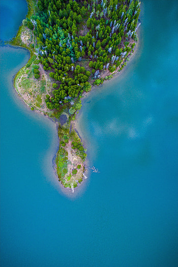 Nature, Trees, View From Above, Ocean, Island, Paradise HD phone wallpaper