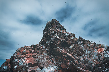 Nature, Birds, Stones, Rock, Peru, Ballestas Island HD wallpaper
