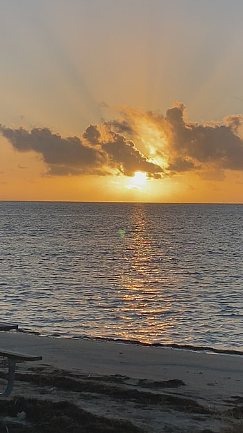Dream destinations for 2022, Roatan travel guide, Paris in , Video montage HD phone wallpaper