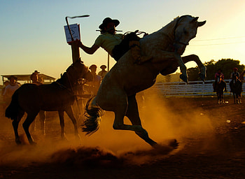 Rodeo, , Backgrounds HD wallpaper