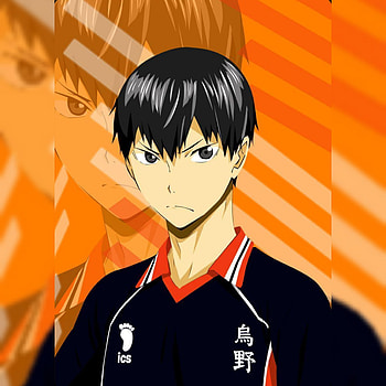 Kageyama, haikyuu, tobio, anime HD phone wallpaper