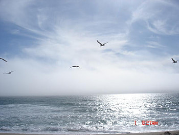 Moon_Beach, travel, beach HD wallpaper