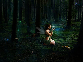 Fairy, abstract, fantasy, forest HD wallpaper