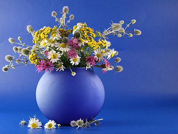 Blue still life, blue, still life, bouquet, flower, nature HD wallpaper
