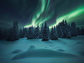 Finland travels, Forest tranquility, Northern lights backdrop, Enchanting aura HD wallpaper