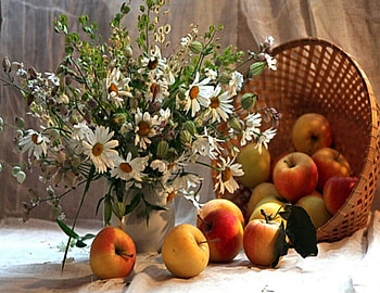 Chamomile and apples in a basket, Flowers, Apples, Vase, Basket HD wallpaper
