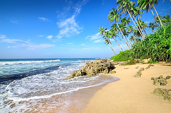 Rocks on Tropical Sandy Beach, Rocks, Sea, Nature, Oceans, Beaches HD wallpaper