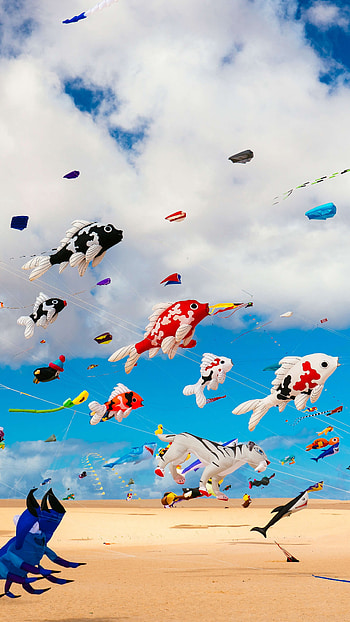 Kite Sports, Thrilling aerial maneuvers, Extreme wind sports, Gravity-defying stunts HD phone wallpaper